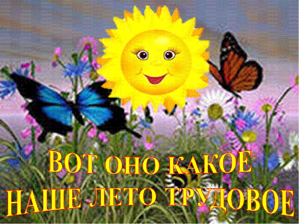 Новости нашего лагеря.